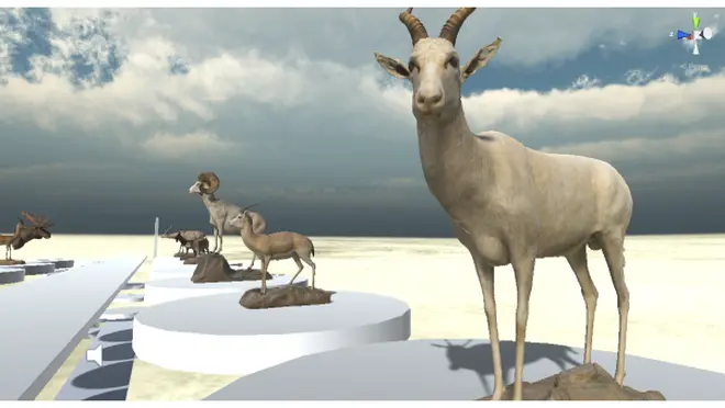 THE WILDLIFE MUSEUMのバーチャル展示室（国立科学博物館）