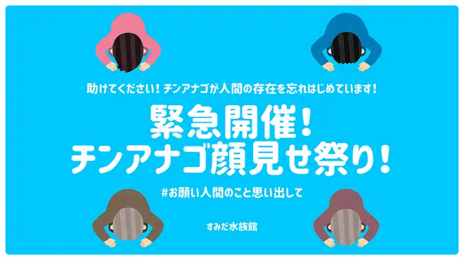 「チンアナゴ顔見せ祭り！」イメージ
