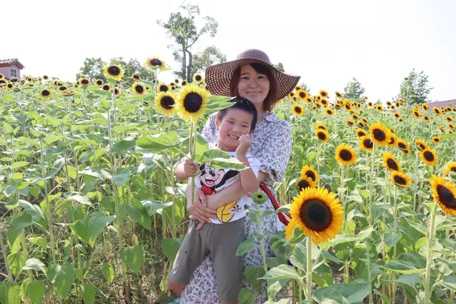 花摘み体験はお子様にも大人気