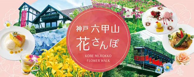 神戸 六甲山花さんぽ