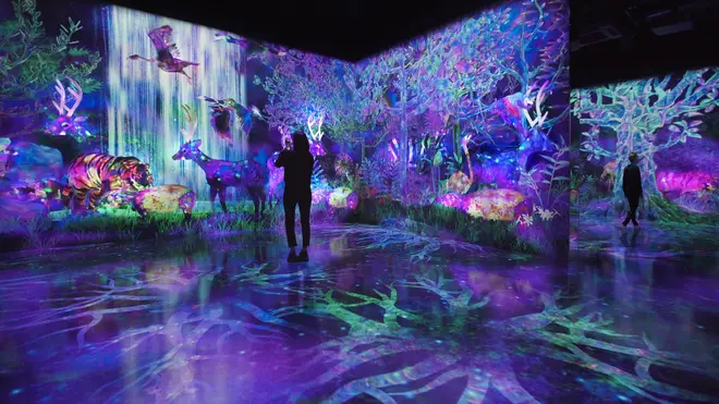 teamLab Forest