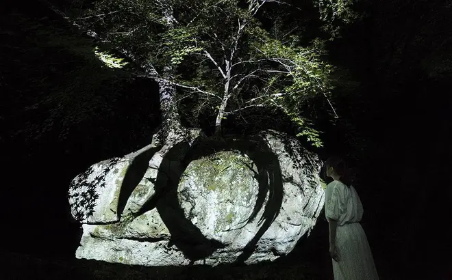 岩割もみじと円相／Split Rock and Enso