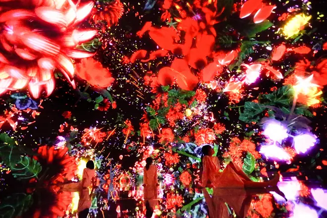 Floating in the Falling Universe of Flowers
