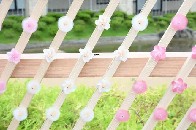 SAKURA KAZAGURUMA-WALL