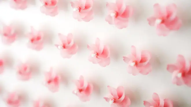 SAKURA KAZAGURUMA-WALL