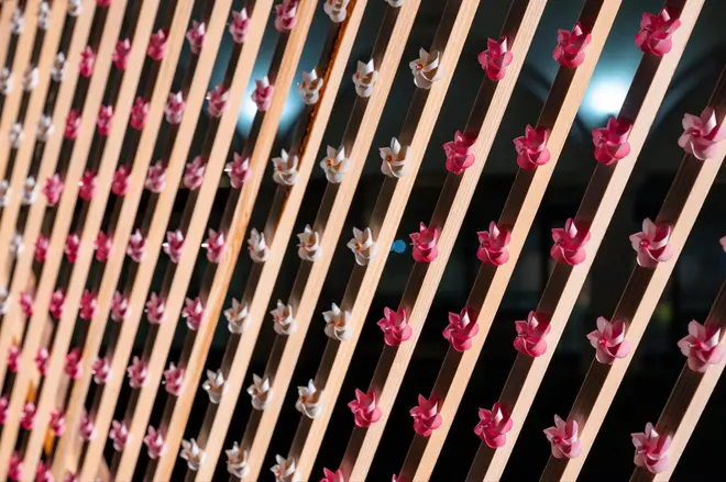 SAKURA KAZAGURUMA-WALL