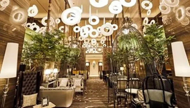 Cafe & Dining ZelkovA