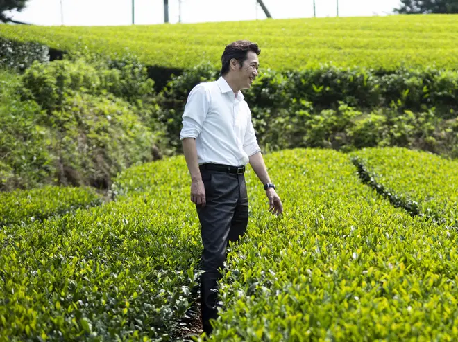 茶畑