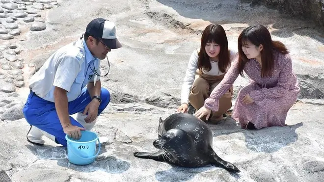 ふれあいラグーン体験プログラム