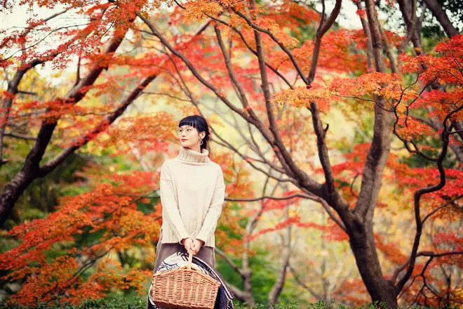 布引の紅葉