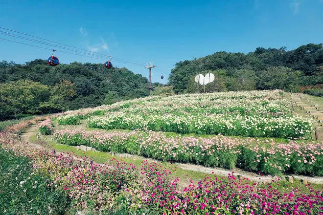神戸布引ハーブ園／ロープウェイ