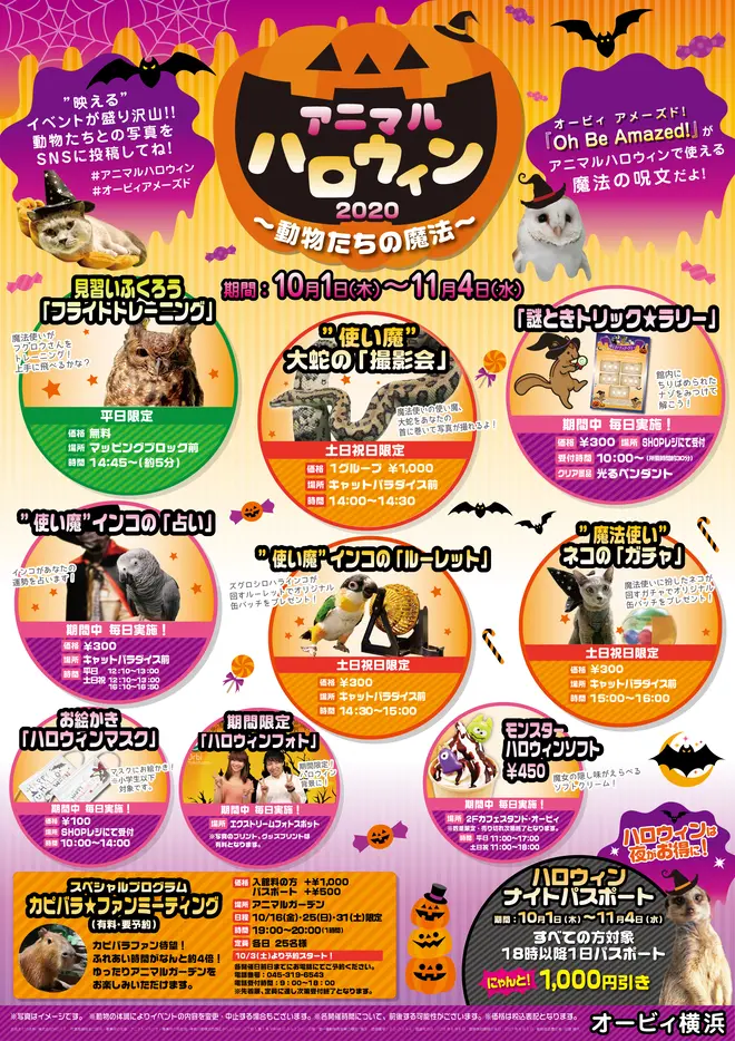 アニマルハロウィン2020～動物たちの魔法～