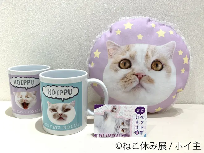 (c)ねこ休み展／ホイ主