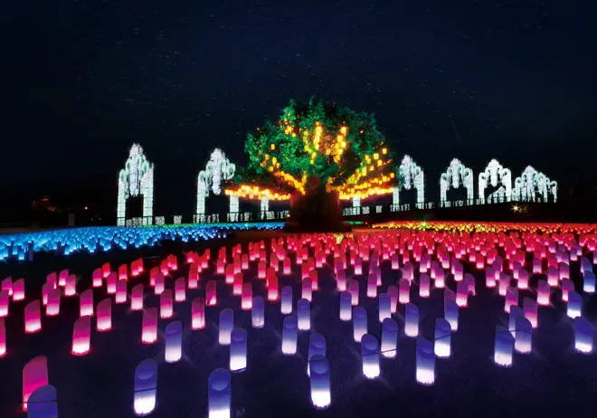 ランタンイルミネーション「光の草原」