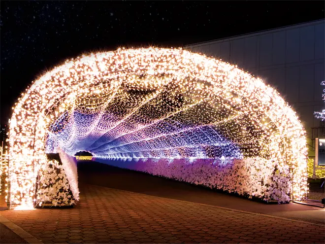 東京メガイルミ