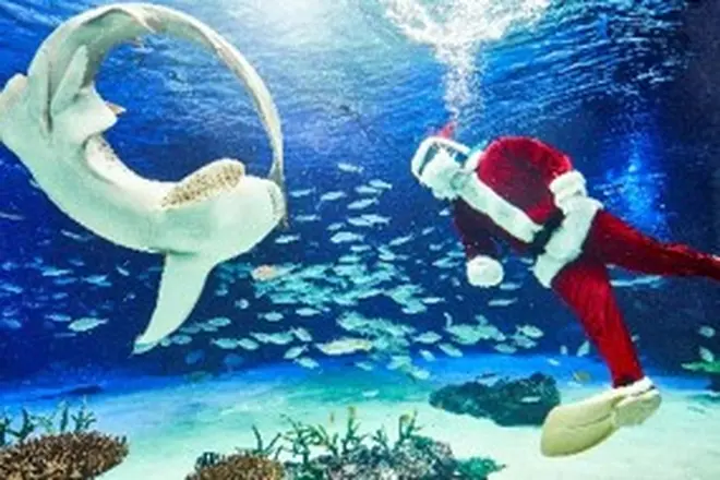 海×サンタ＝南国のクリスマ？！ イメージ