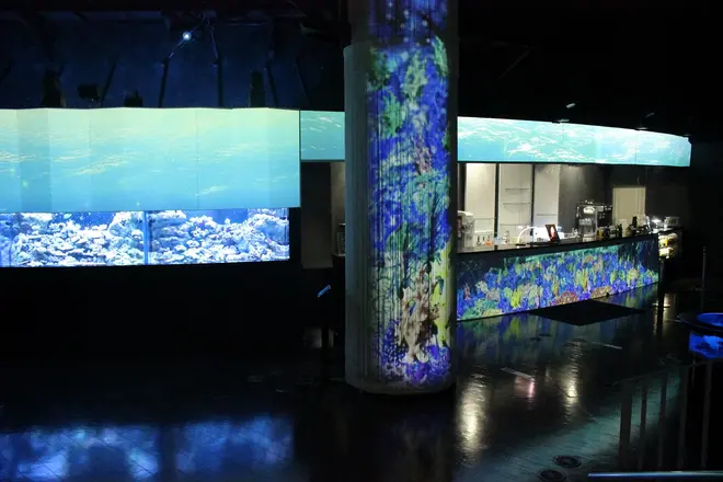 「コーラルカフェバー」 イメージ