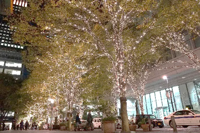 「丸の内イルミネーション」過去開催時の様子 イメージ