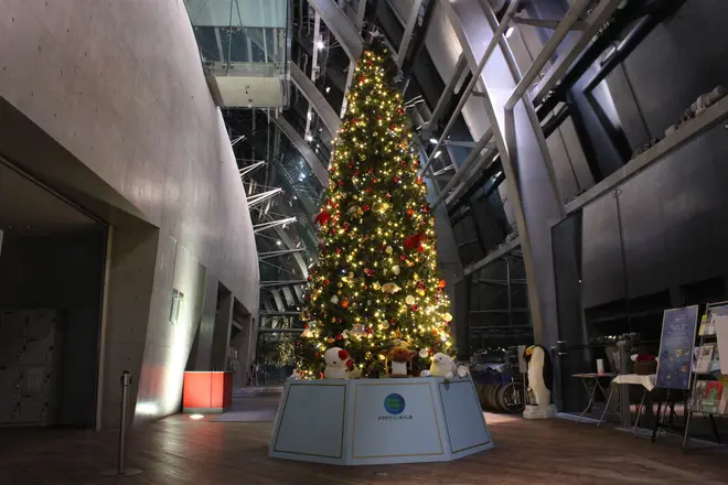 アクアマリンツリー イメージ