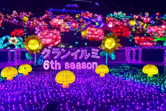  ランタン花畑 フォトスポット イメージ