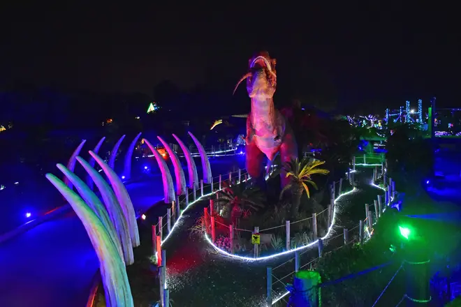 dino age walk イメージ