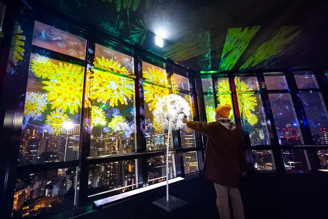 自分の端末を使用してタンポポにかざすと・・？