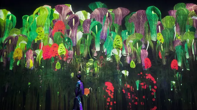 増殖する無量の生命（12月の花：テンナンショウの実）
