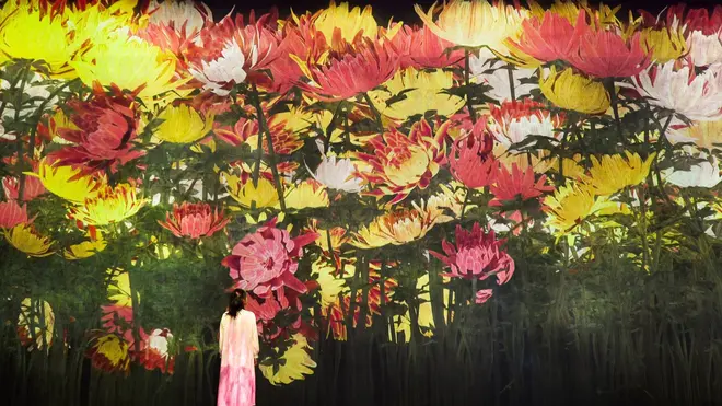 増殖する無量の生命（1月の花：寒菊）