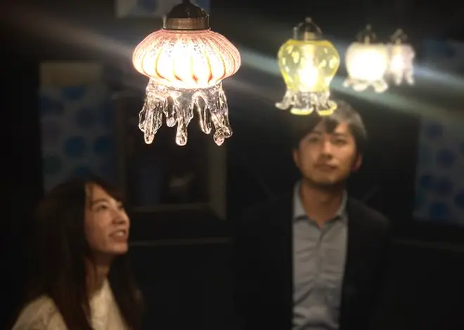クラゲのあかりたち イメージ