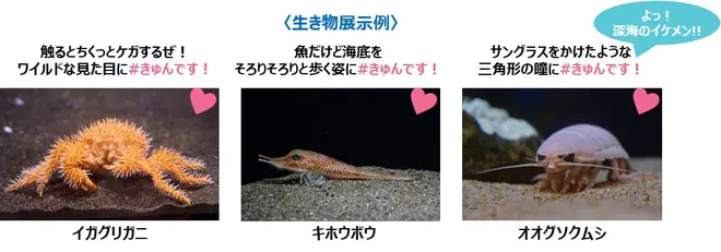 生き物展示例