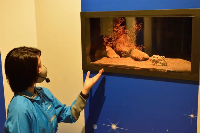 深海生物トーク イメージ
