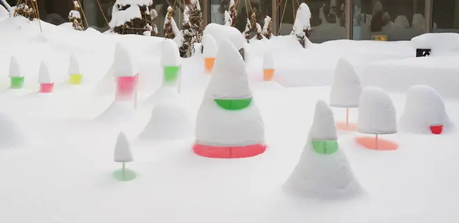 Snow Pallet 13