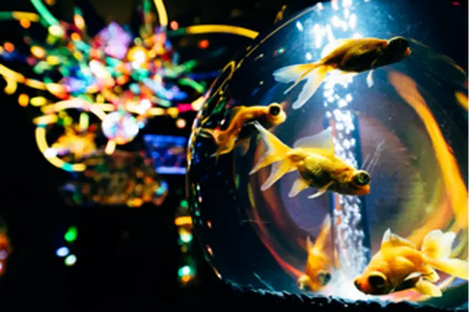 エントランス 水の惑星への旅