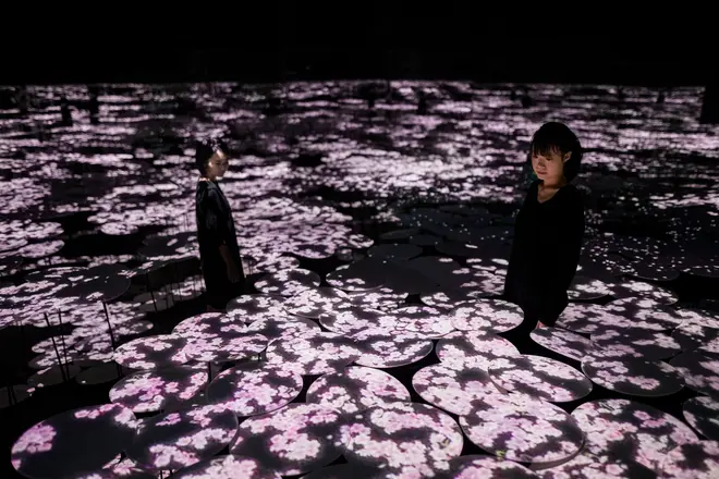 地形の記憶（桜） イメージ