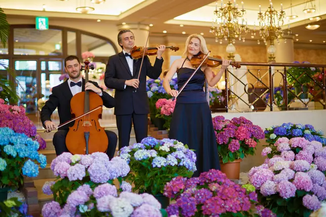 あじさいのホテル イメージ