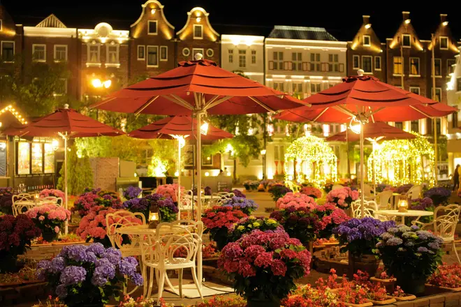 あじさいのライトアップ イメージ