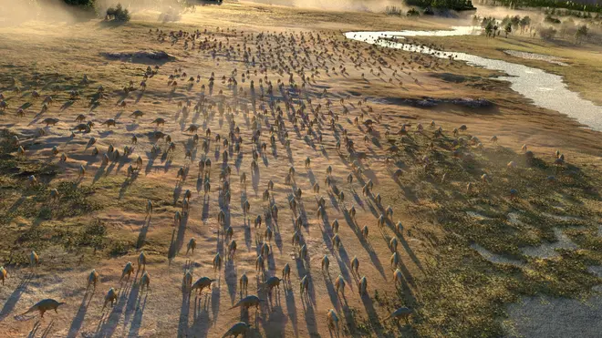 ※CG映像イメージ（画像は製作段階の映像です。）