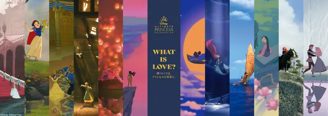 WHAT IS LOVE？ ～輝くヒミツは、プリンセスの世界に。～ イメージ 