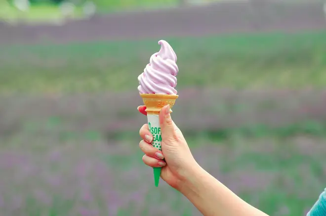 ラベンダーグルメ イメージ