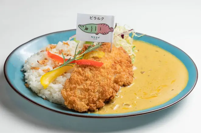 「ピラルクフライカレー」イメージ