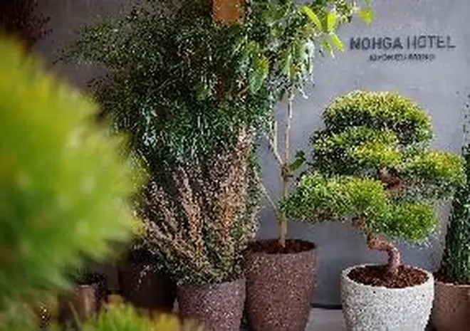 株式会社 DAISHIZEN〔館内植栽〕
