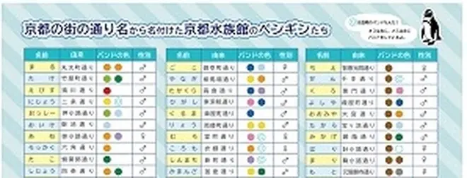「ペンギン名前シート」イメージ