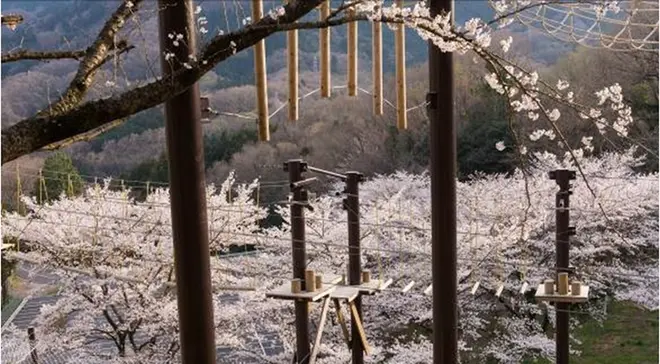 空中アスレチック「天狗道場」