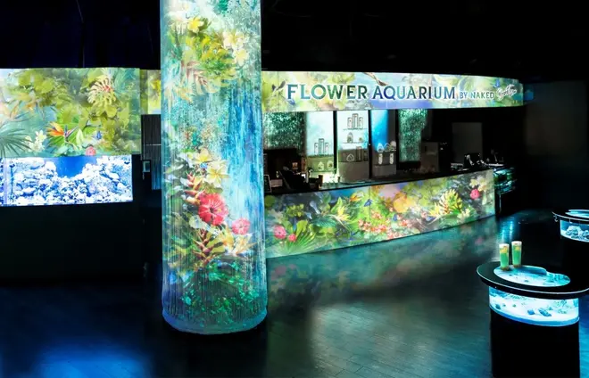 「SECRET PLANTS BAR」※イメージ