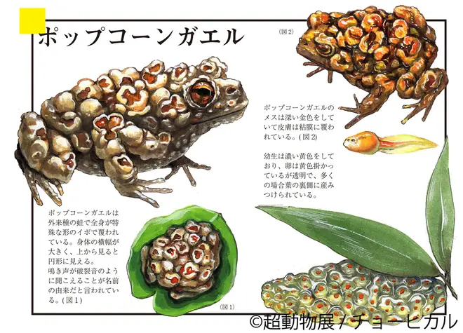 展示作品10