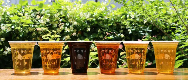 ビール6種類