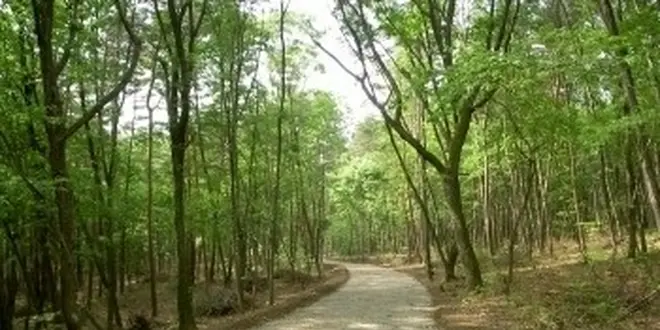 これといったものはないけれど、心が洗われる旅、安曇野