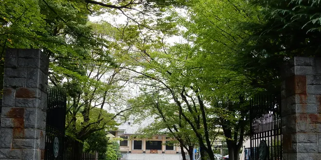 お江戸てらまちさんぽ 初秋の門仲・深川をぶらり