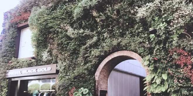表参道でお洒落なデート😌