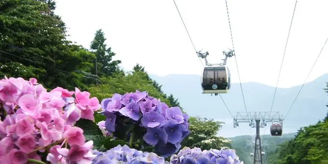 Nori's Birthday trip in ATAMI &  HAKONE 2018.